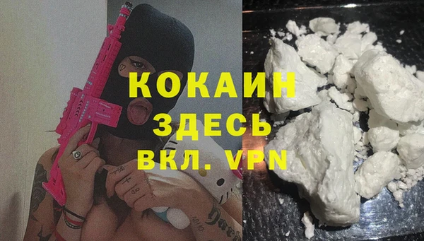 крисы Балахна