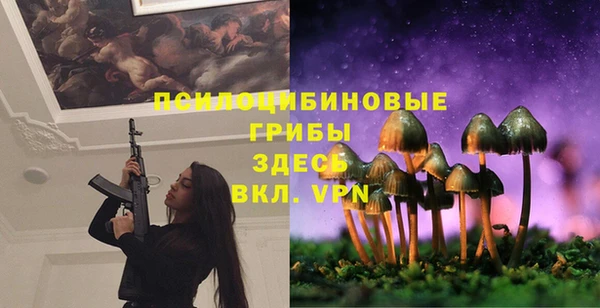 крисы Балахна