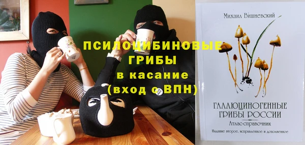 бошки Саяногорск