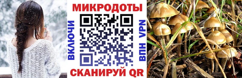 Галлюциногенные грибы GOLDEN TEACHER продажа наркотиков Великие Луки