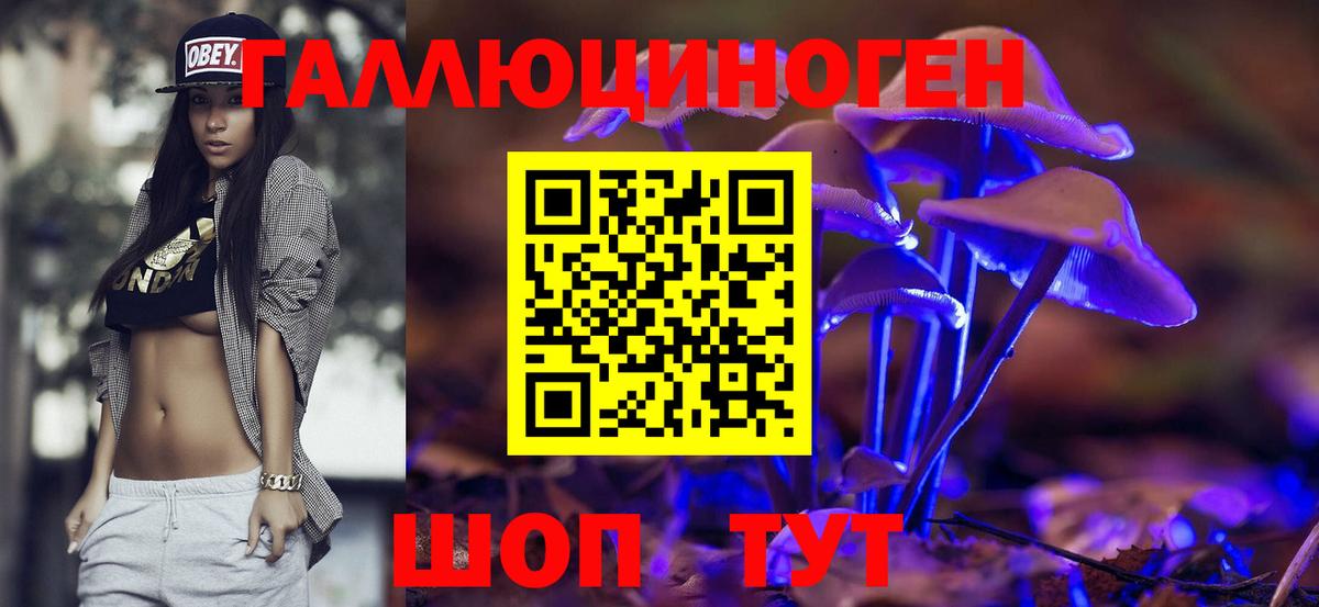 Псилоцибиновые грибы Psilocybine cubensis Великие Луки