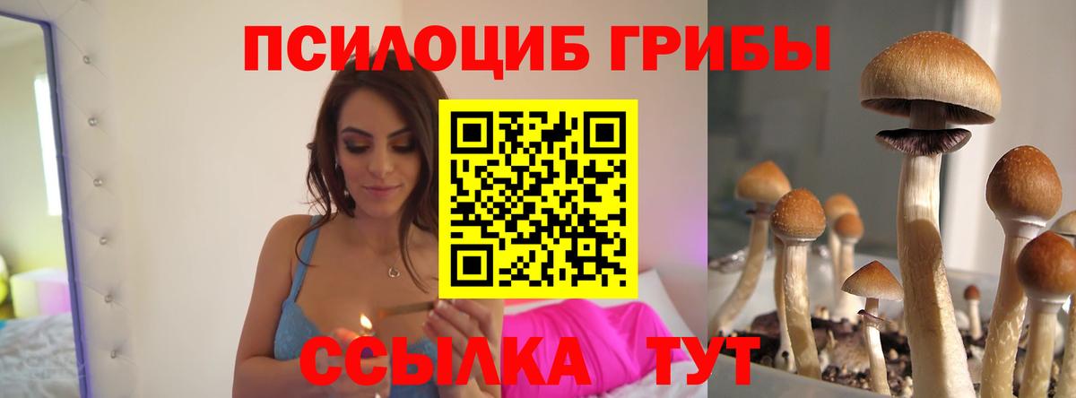 Великие Луки  Псилоцибиновые грибы MAGIC MUSHROOMS  Вход с VPN  Галлюциногенные грибы ЛСД 