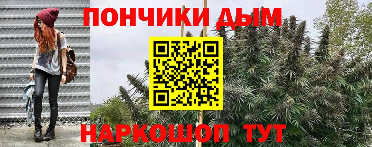 Бошки марихуана сатива  Шишки марихуана план  Вход с VPN  Великие Луки  МАРИХУАНА Ganja 